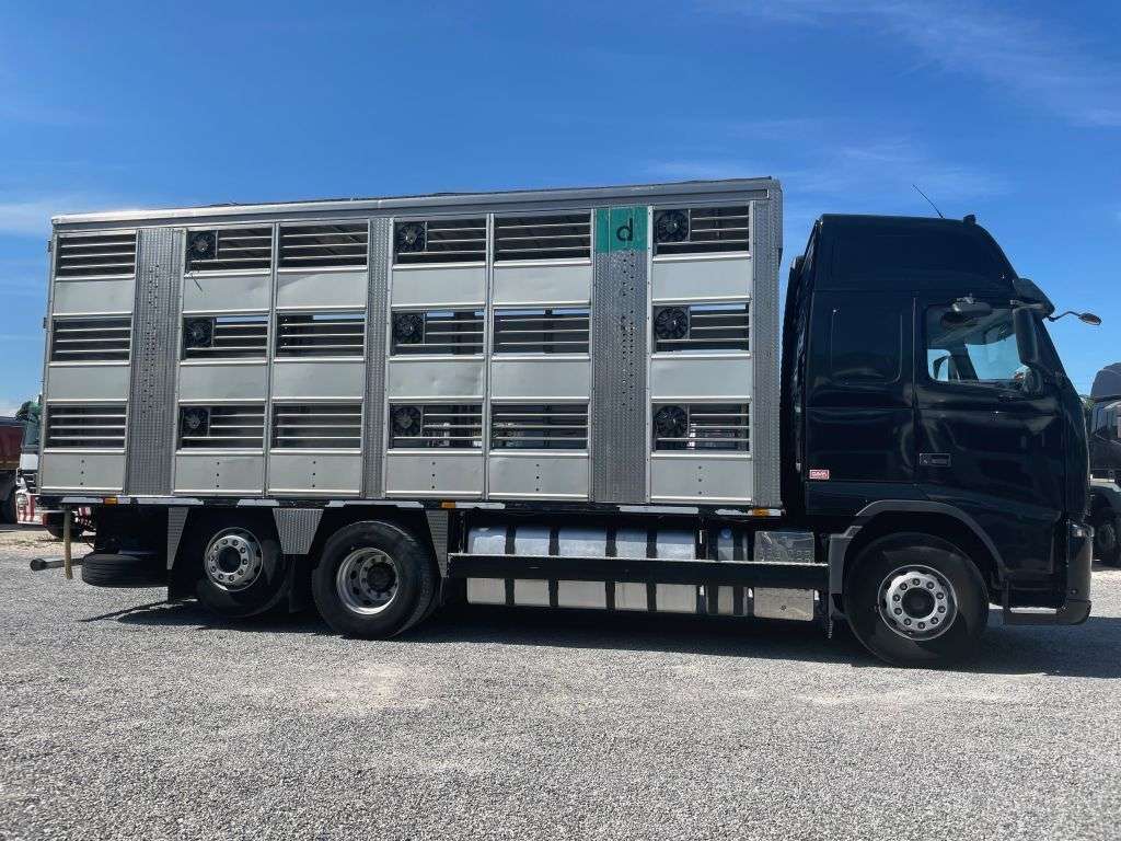 Camion trasporto bestiame VOLVO FH 500 FH13.500 Globetrotter Euro 5 VEB - Photo 4